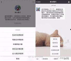 新乡今日爆料电话查询号码,一通电话，掌握城市动态！”