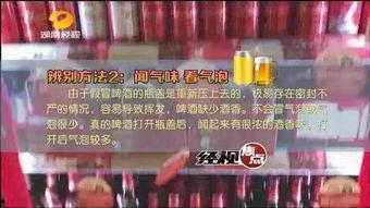兰州啤酒爆料视频完整版,探寻品牌背后的故事与魅力  第1张