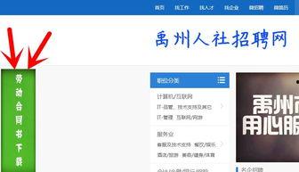 小编爆料模板下载最新版,小编独家爆料，最新版模板下载，助你轻松创作！  第2张